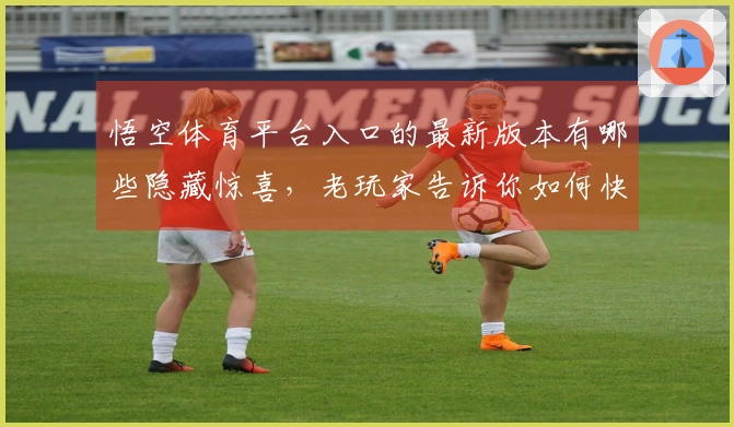 悟空体育平台入口的最新版本有哪些隐藏惊喜，老玩家告诉你如何快速适应！